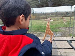 Figuras Montessori de animales grandes para niños